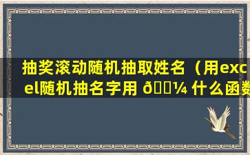 抽奖滚动随机抽取姓名（用excel随机抽名字用 🌼 什么函数）